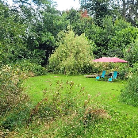 Kingsley Cottage - Beautiful Riverside Setting Beaworthy Екстер'єр фото