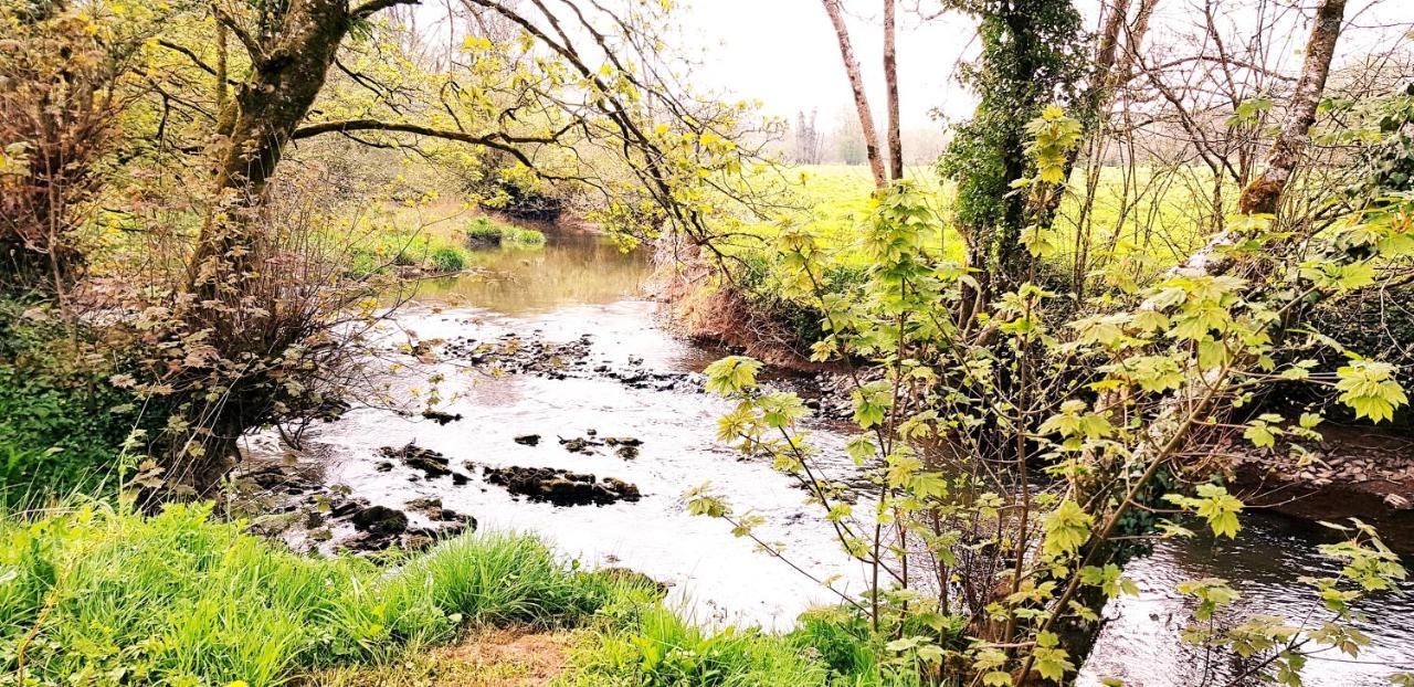 Kingsley Cottage - Beautiful Riverside Setting Beaworthy Екстер'єр фото