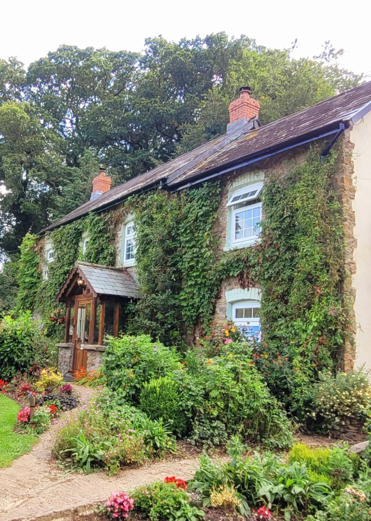 Kingsley Cottage - Beautiful Riverside Setting Beaworthy Екстер'єр фото