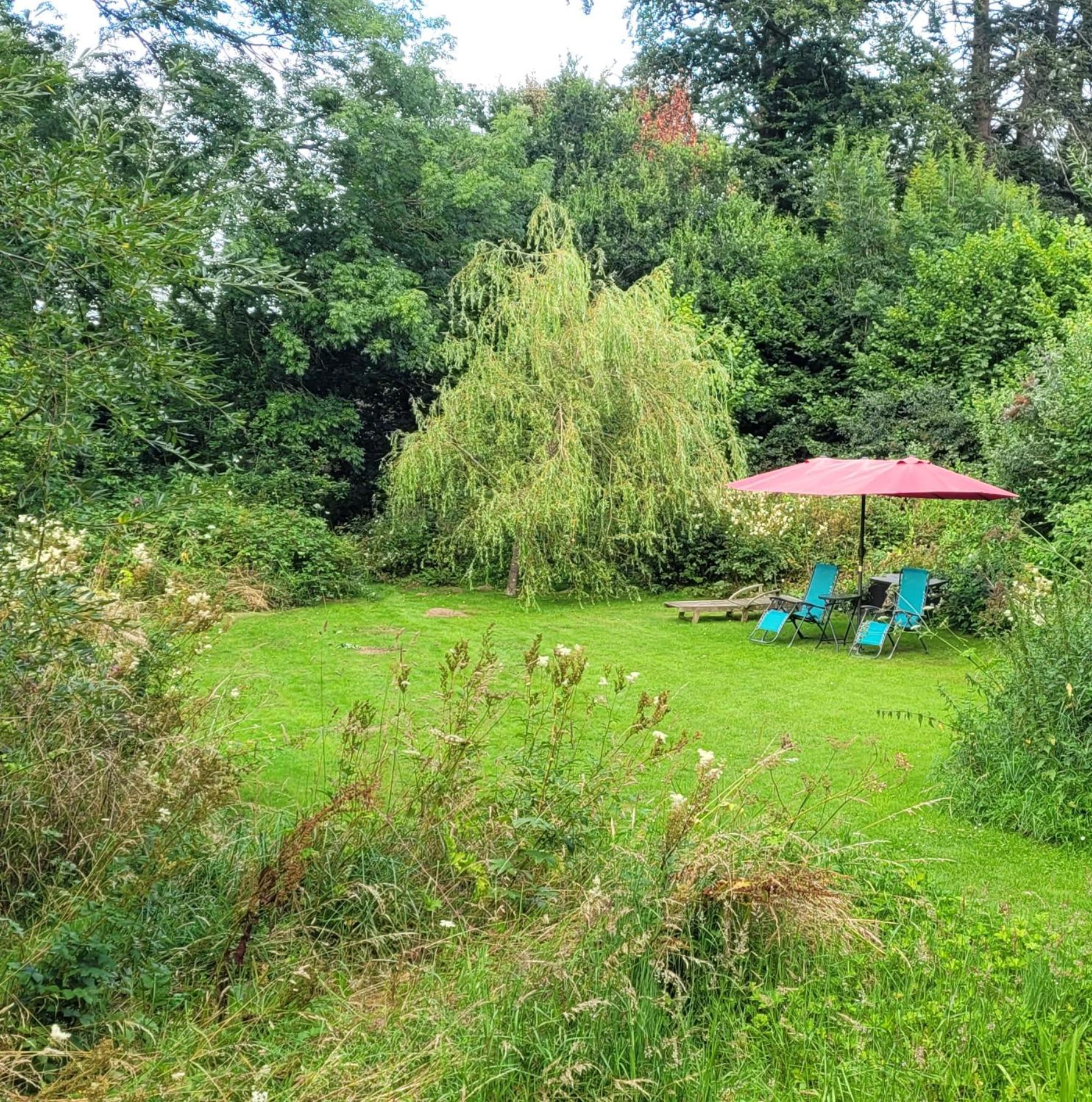 Kingsley Cottage - Beautiful Riverside Setting Beaworthy Екстер'єр фото